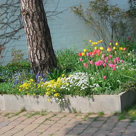 Bismarckshoehe Clara