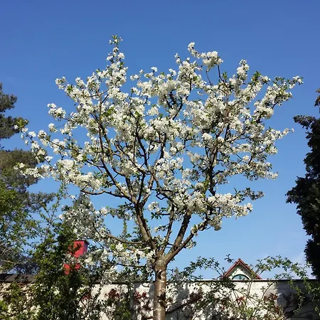 Bismarckshoehe Clara Apartman Heringsdorf