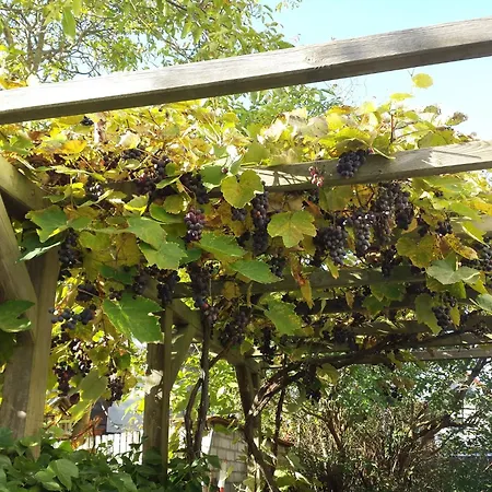 Bismarckshoehe Clara * هيرينجسدورف