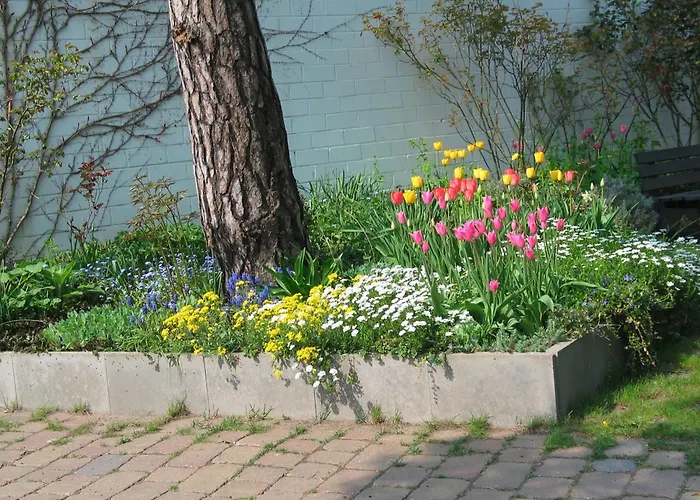 Bismarckshöhe Clara