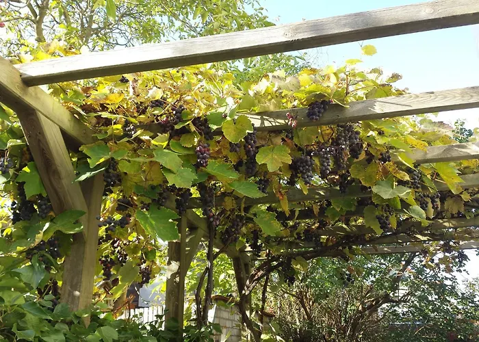 Bismarckshöhe Clara * Heringsdorf (Usedom)